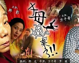 中文精品久久久久国产网址